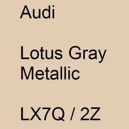 Audi, Lotus Gray Metallic, LX7Q / 2Z.